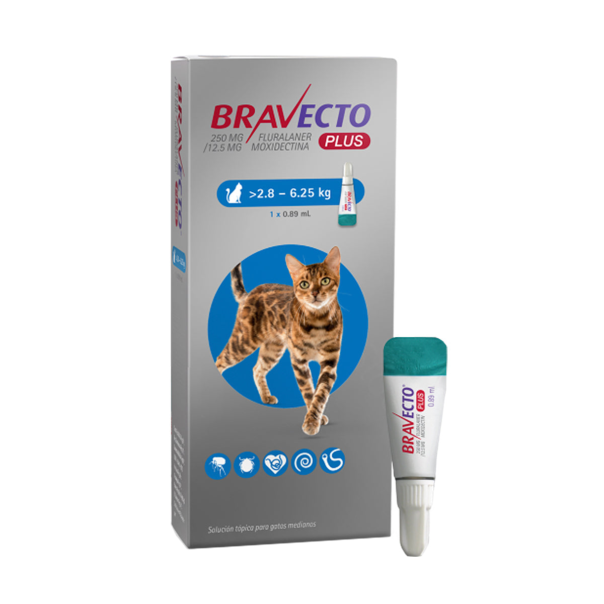 Bravecto Plus 1 Mes 2.8-6.25 kg Gato