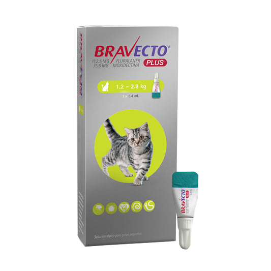 Bravecto Puls 1 Mes 1.2-2.8 kg Gato